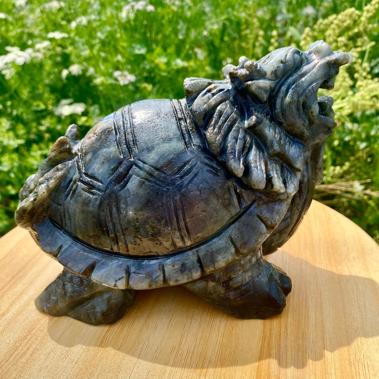 4.9LB Natural elongated quartz carved dragon turtle crystal spiritual gift decor