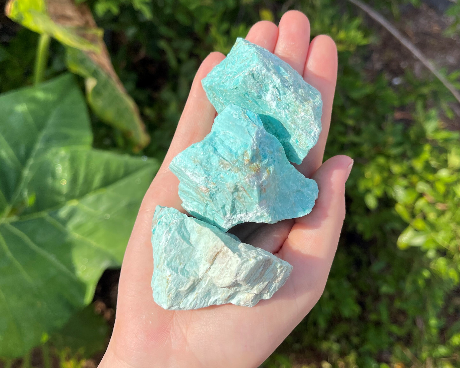 Rough Turquoise Stones LARGE 2-3″ (Raw Natural Turquoise, Peru)