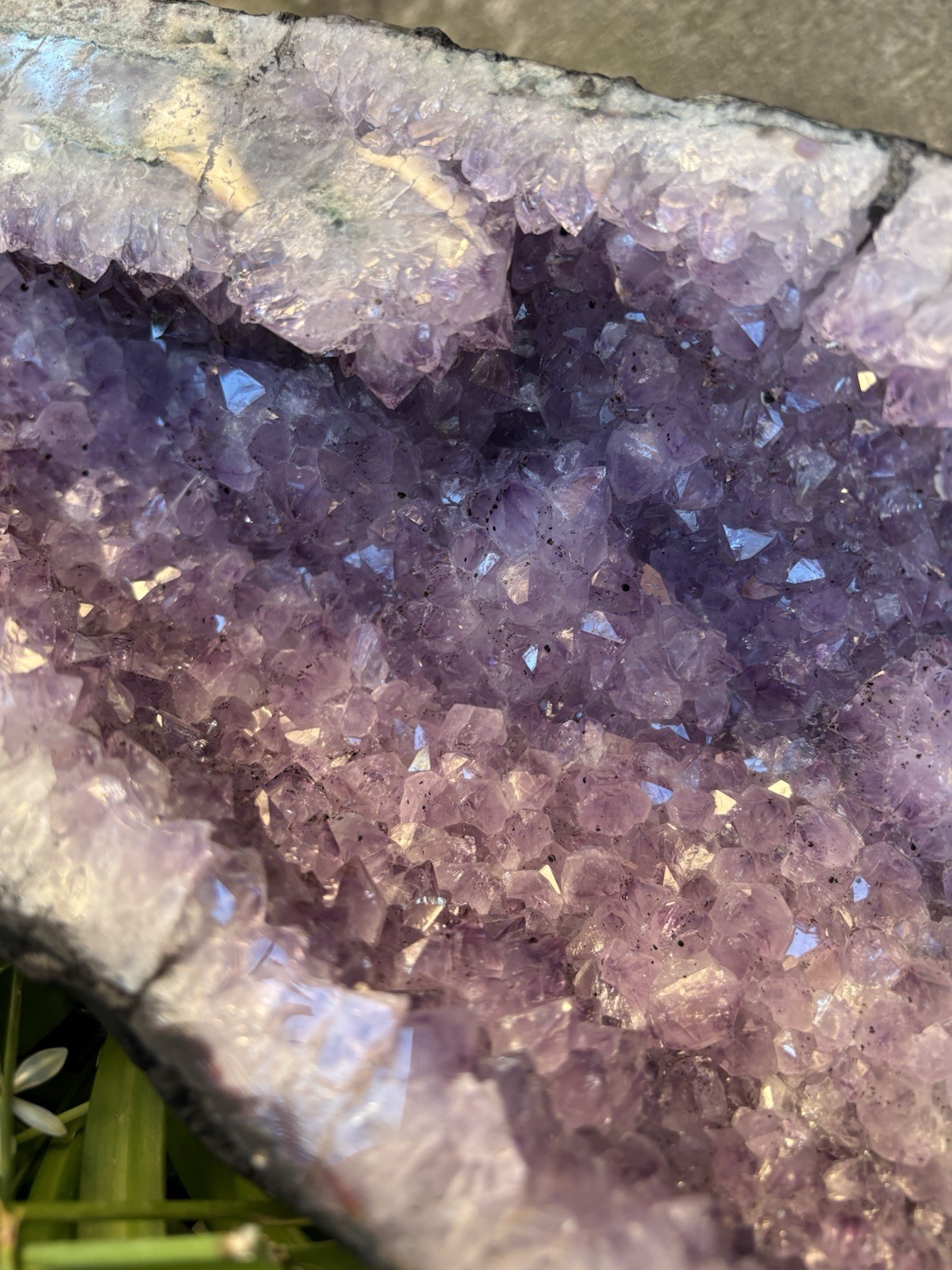Large Natural Amethyst Crystal Geode Cluster Uruguay/Brazil Origin