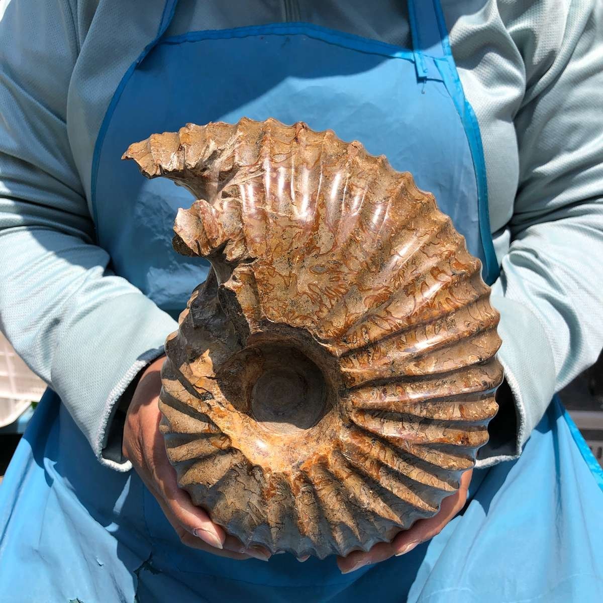 8.91LB Rare! Natural Tentacle Ammonite Specimen Healing Madagascar