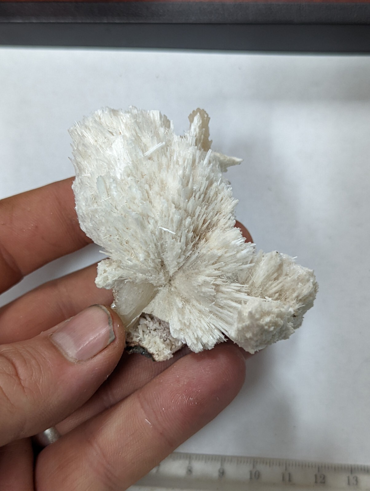 Large Scolecite Spray Crystal Cluster w Stilbite Specimen