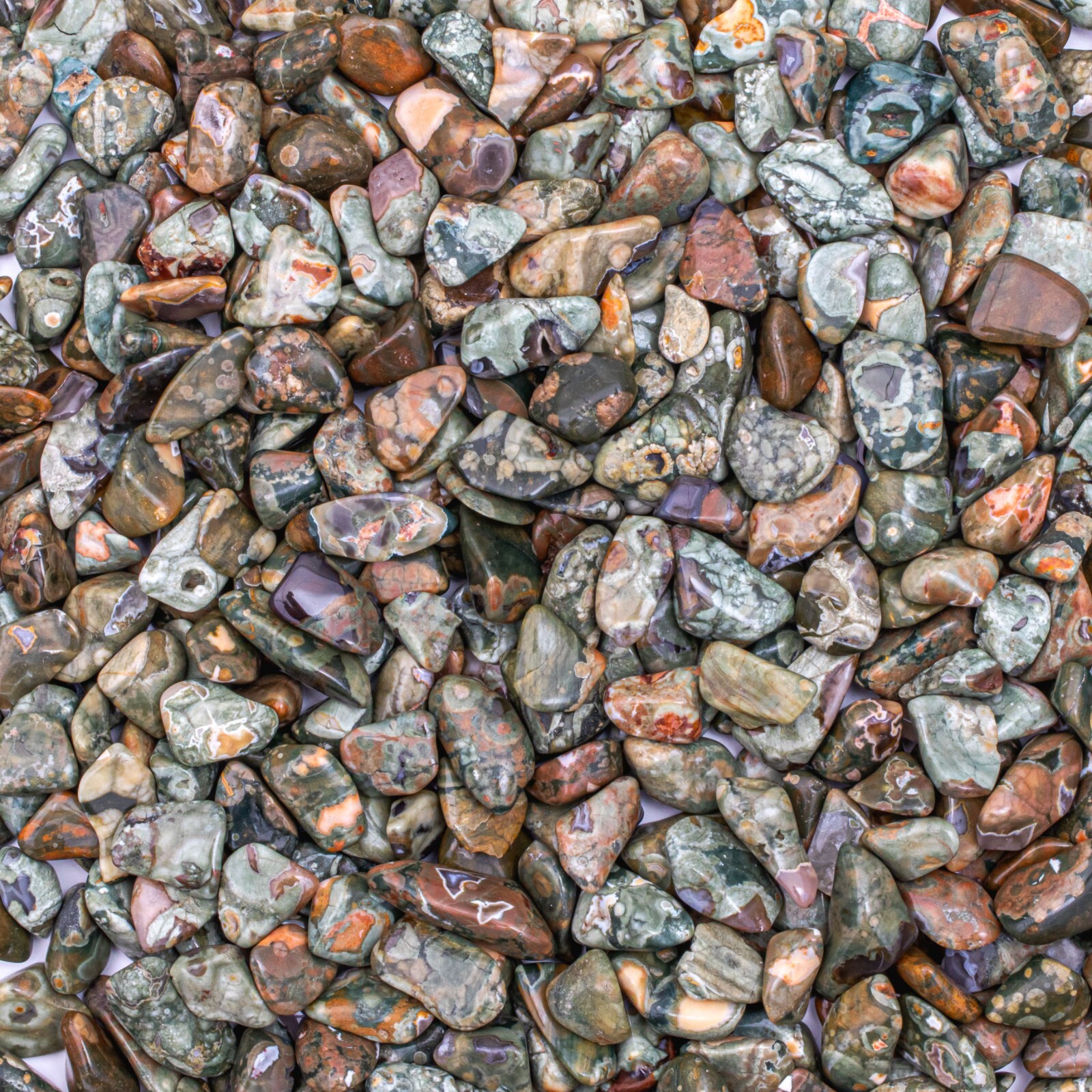 25 Grams Tumbled Rainforest Rhyolite Jasper Gemstone Crystals 10-25 Stones Bulk