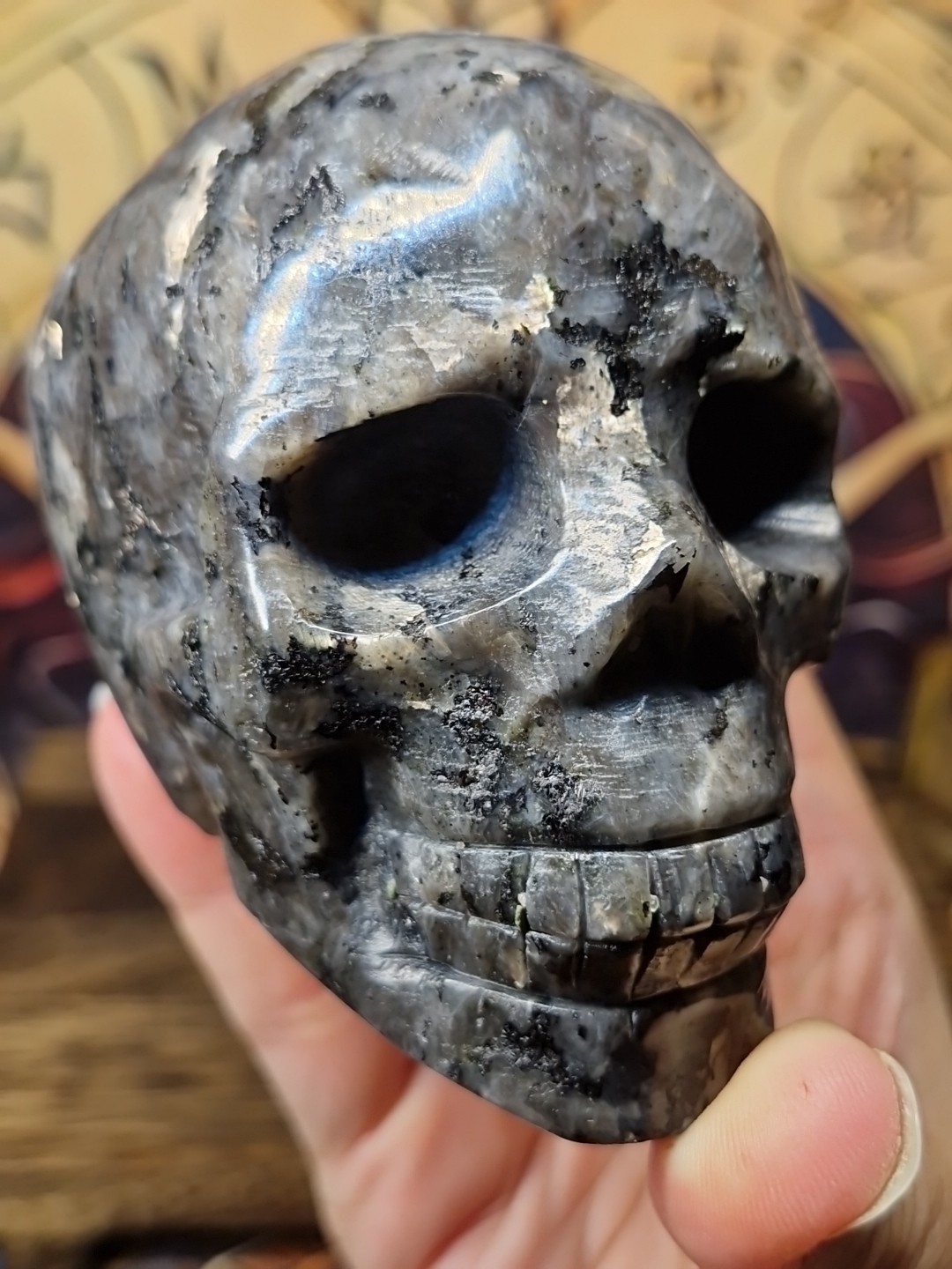 Lush Larvikite Aka Black Lab Crystal Human Skull 95x72mm 618g