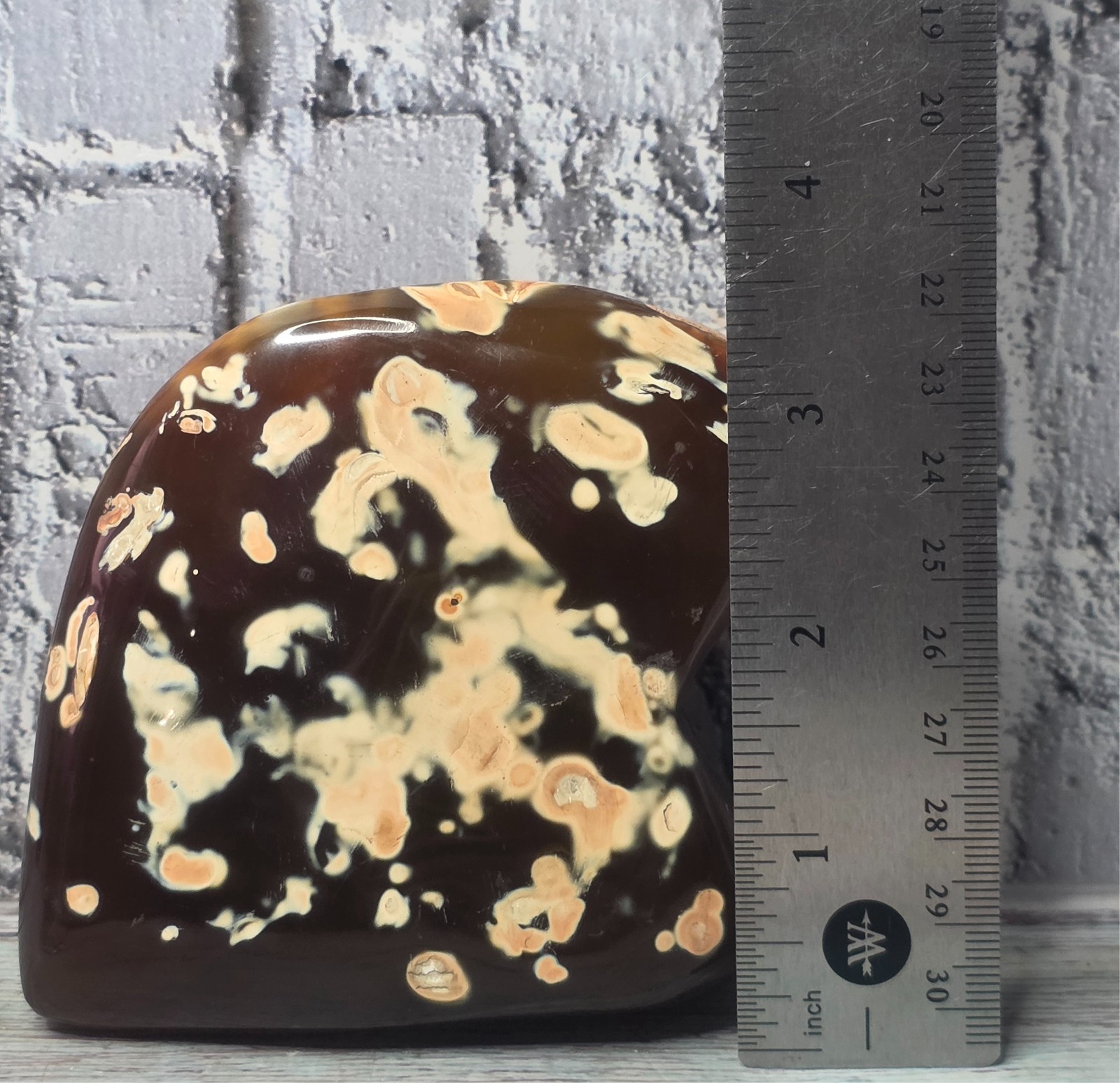 Large Rare Natural Amber Color Orca Agate Polished Freeform Translucent Color