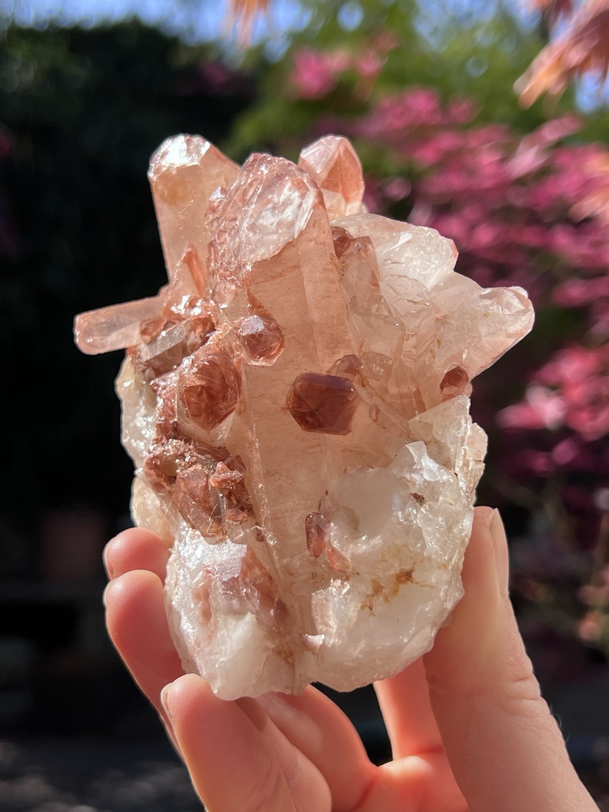 Lithium Quartz Large Cluster AAA+ : Master Healer Clarity 449g 7