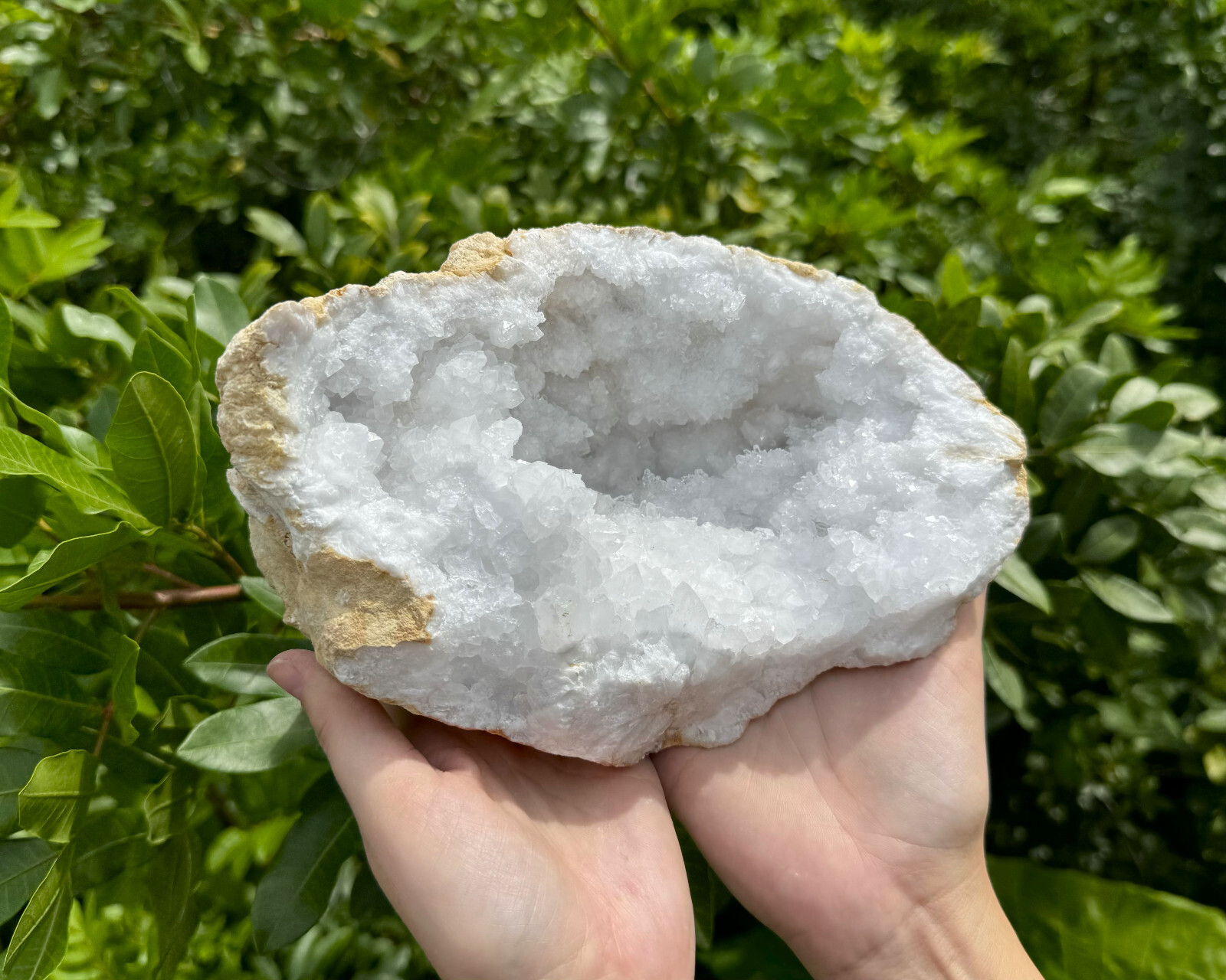 MASSIVE Sugar Quartz Geodes – Natural Crystal Geode Specimens From Morocco
