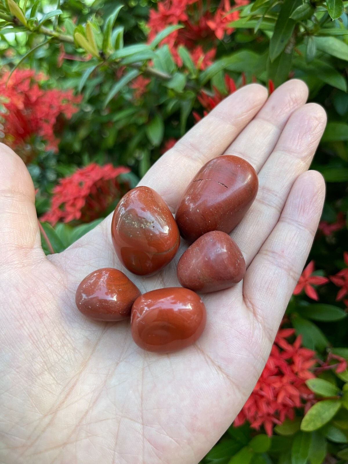 Grade A++ Red Jasper Tumbled Stones, 0.7″-1.25″ Tumbled Red Jasper,Pick A Weight