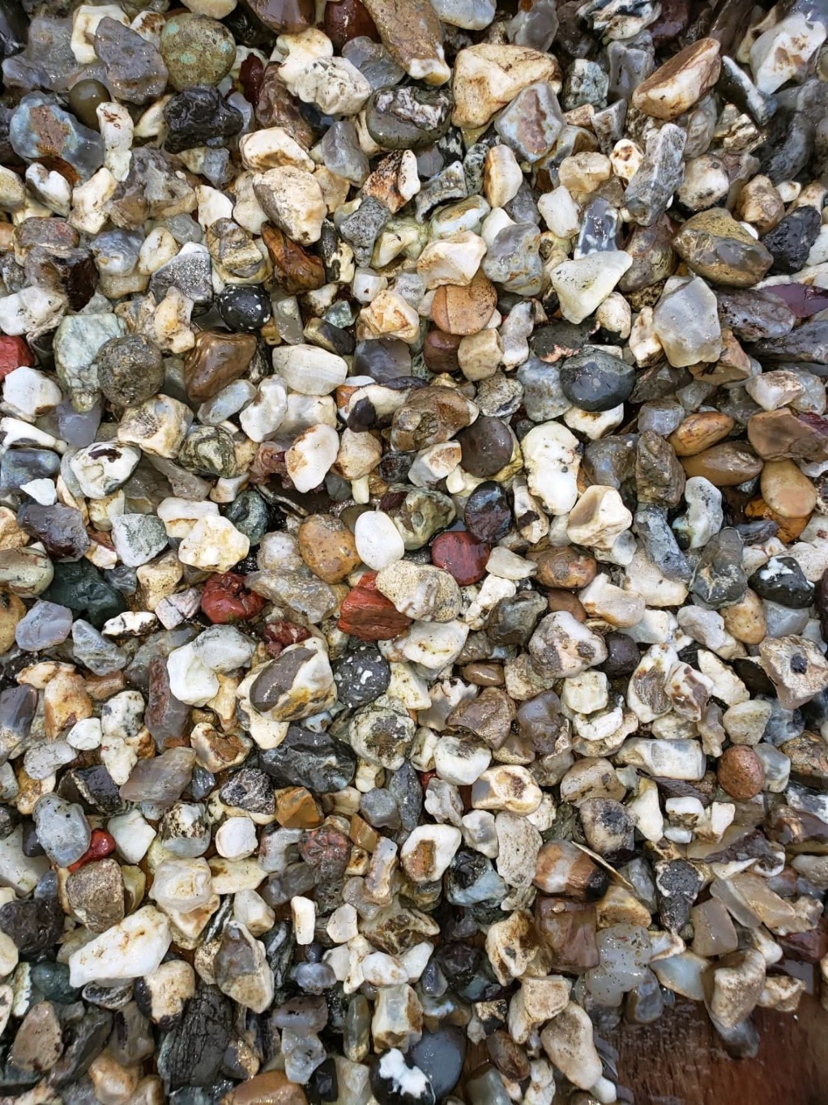 RAW CLEANED TUMBLING/JEWELRY MAKING ROCKS FROM OREGON COAST