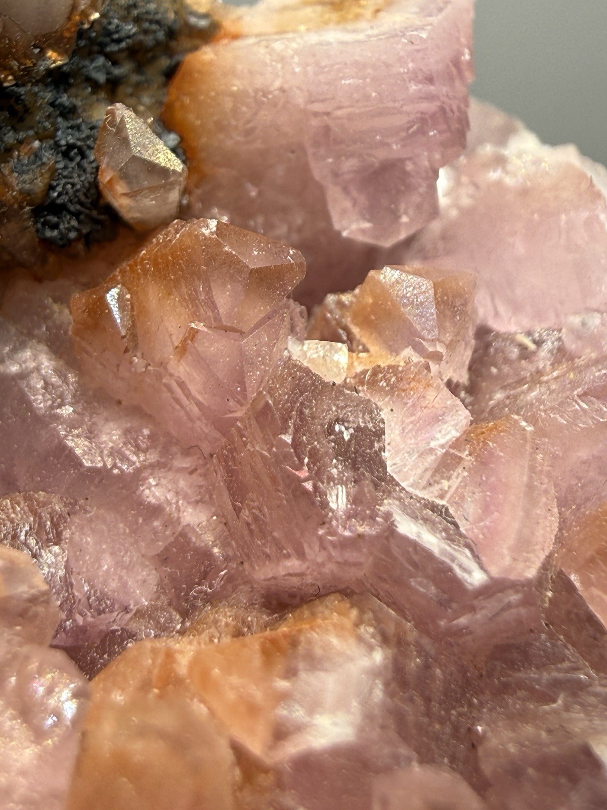 High Grade Pink Cobaltian Calcite Mineral Specimen | Bou Azzer, Morocco