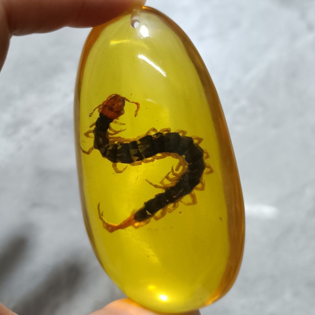 Insect Amber Pendant Centipede Long Sweater Necklace for Men Women Jewelry