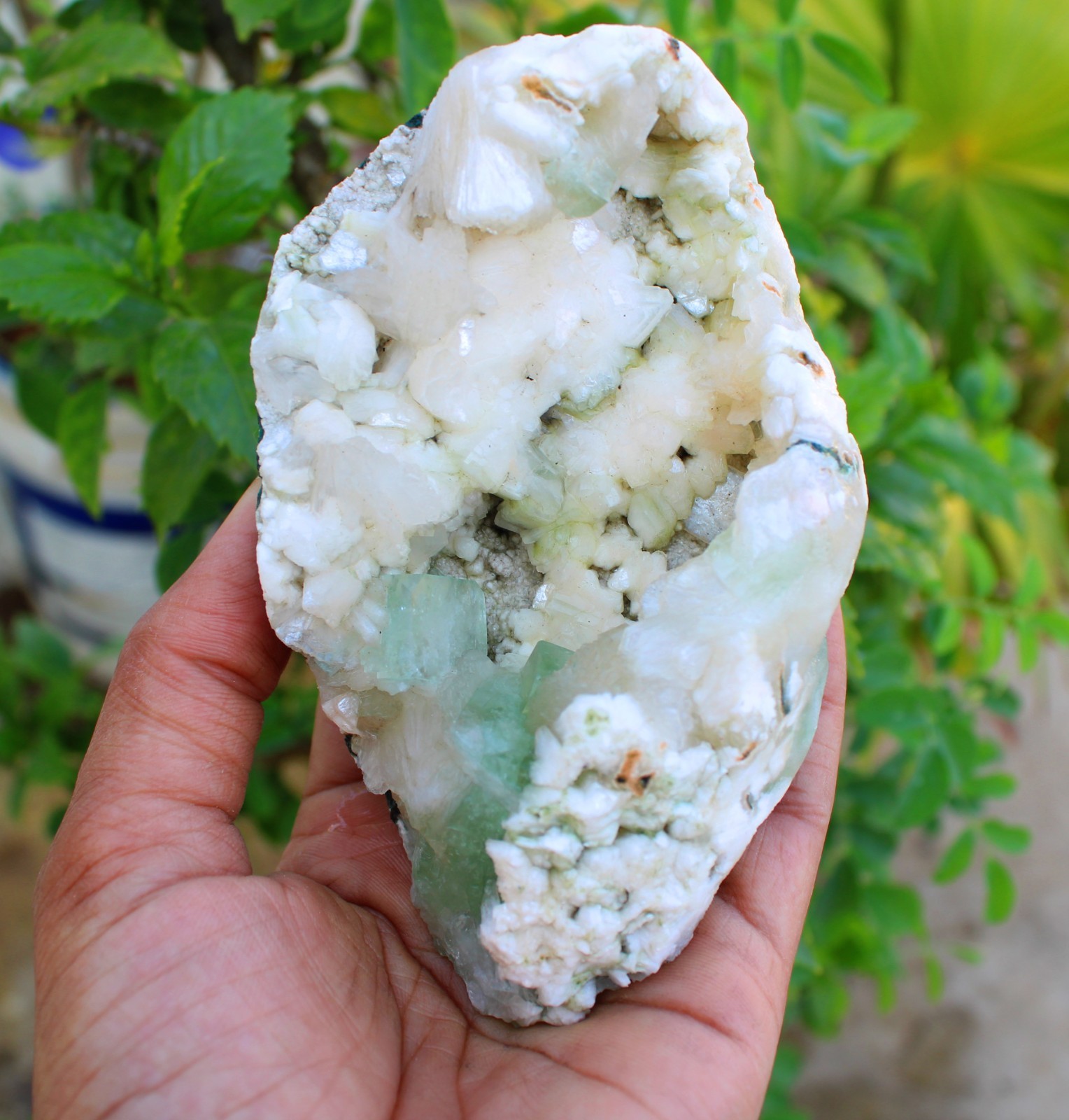 GREEN APOPHYLLITE CRYSTALS w/ HEULANDITE IN GEODE MINERALS SPECIMEN #A43