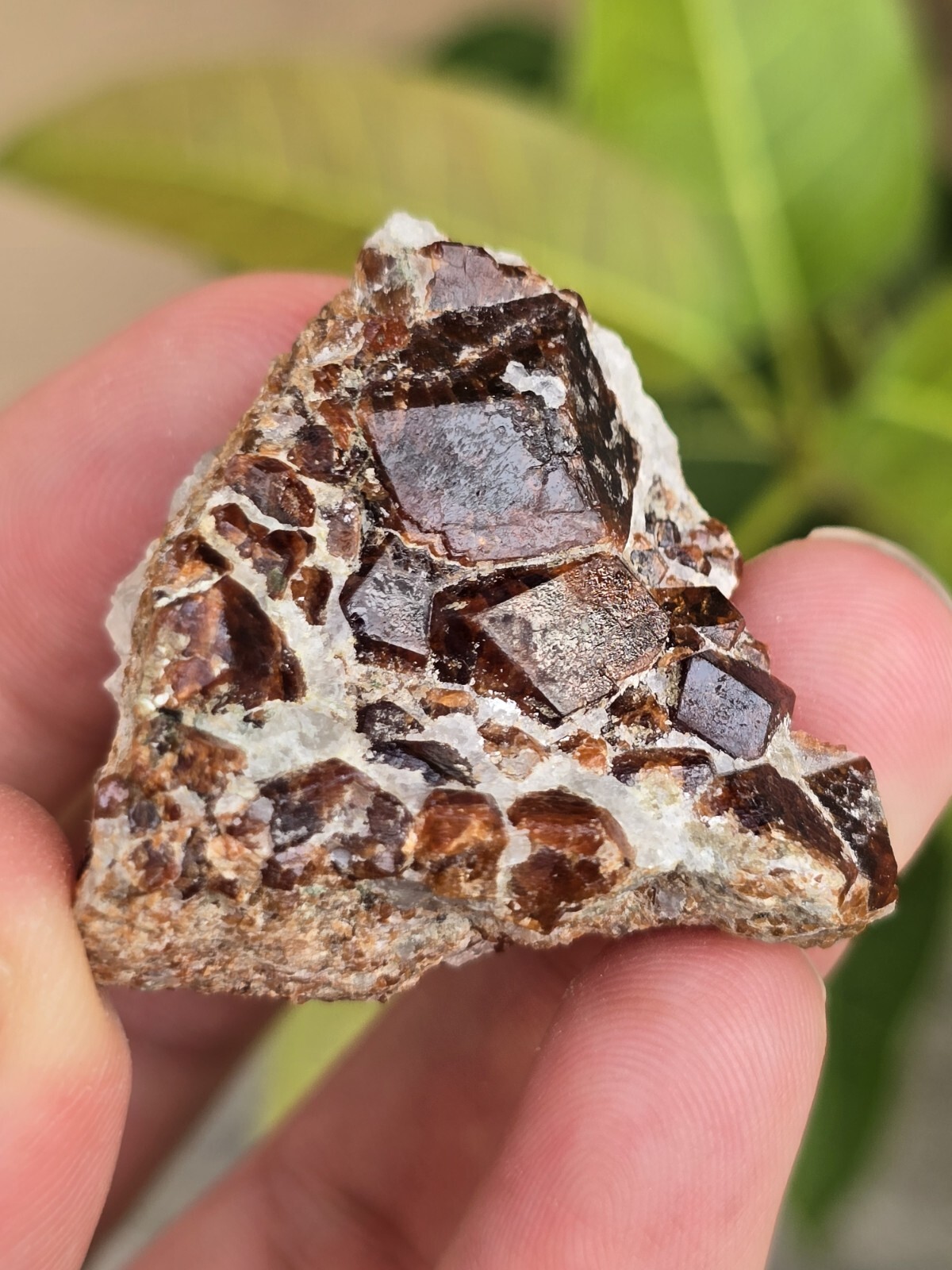 rocks fossils minerals crystals gemstones rough