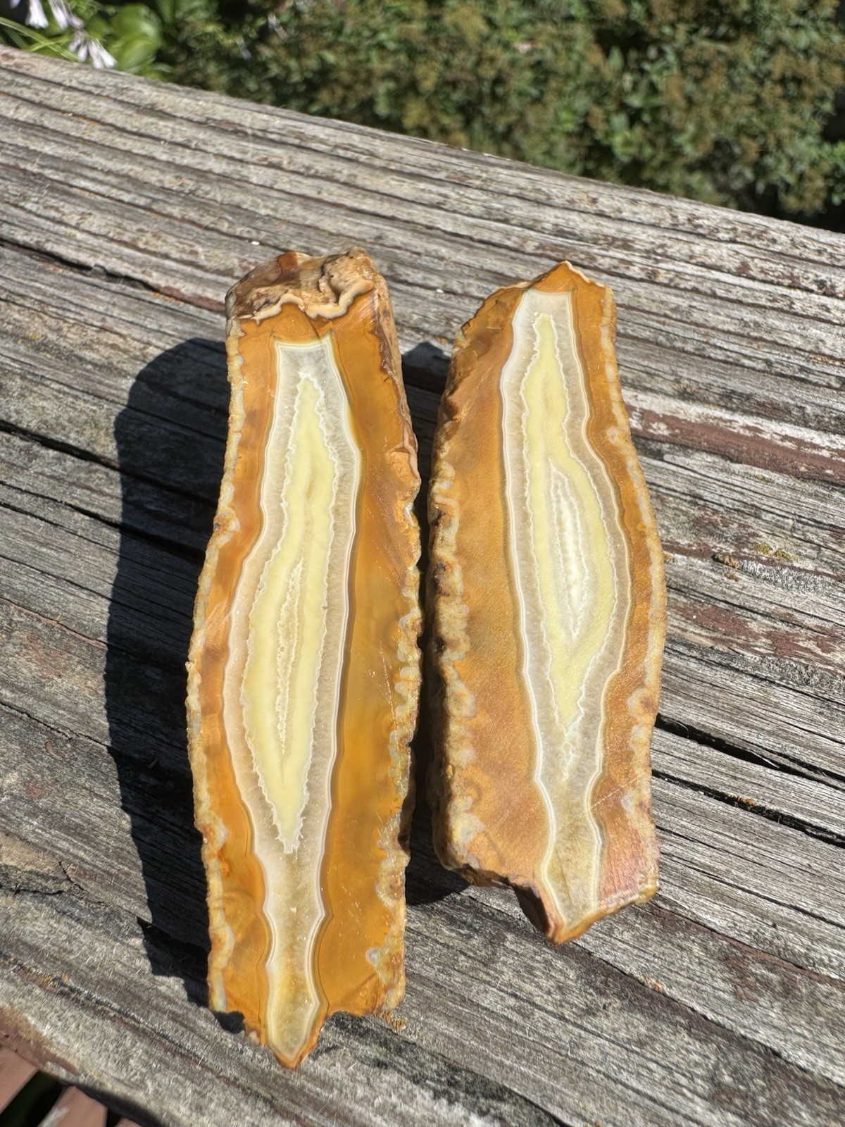 3.2oz Sumatran Agate *Rough Cut Natural Gemstone Collector Specimen ✨