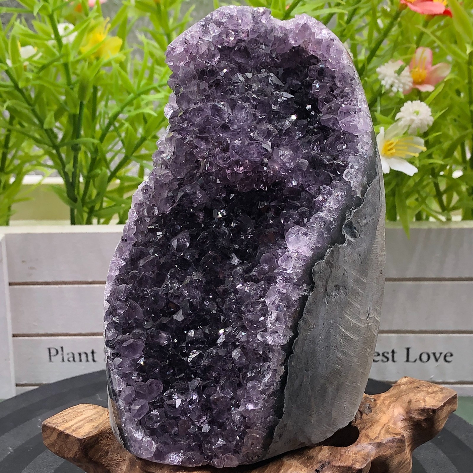 692g Natural Light Purple Amethyst Quartz Crystal Cluster Specimen Healing