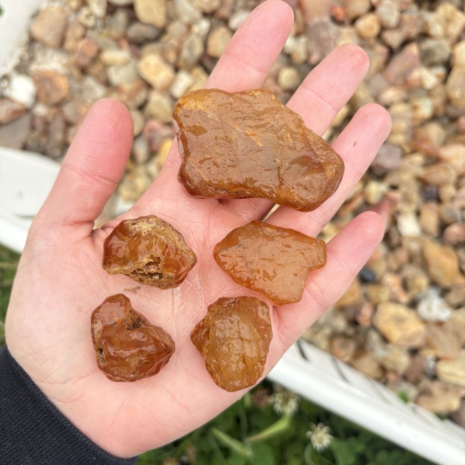 Raw Carnelian Agate Stones – Natural Unpolished Orange Chalcedony Crystals Lot