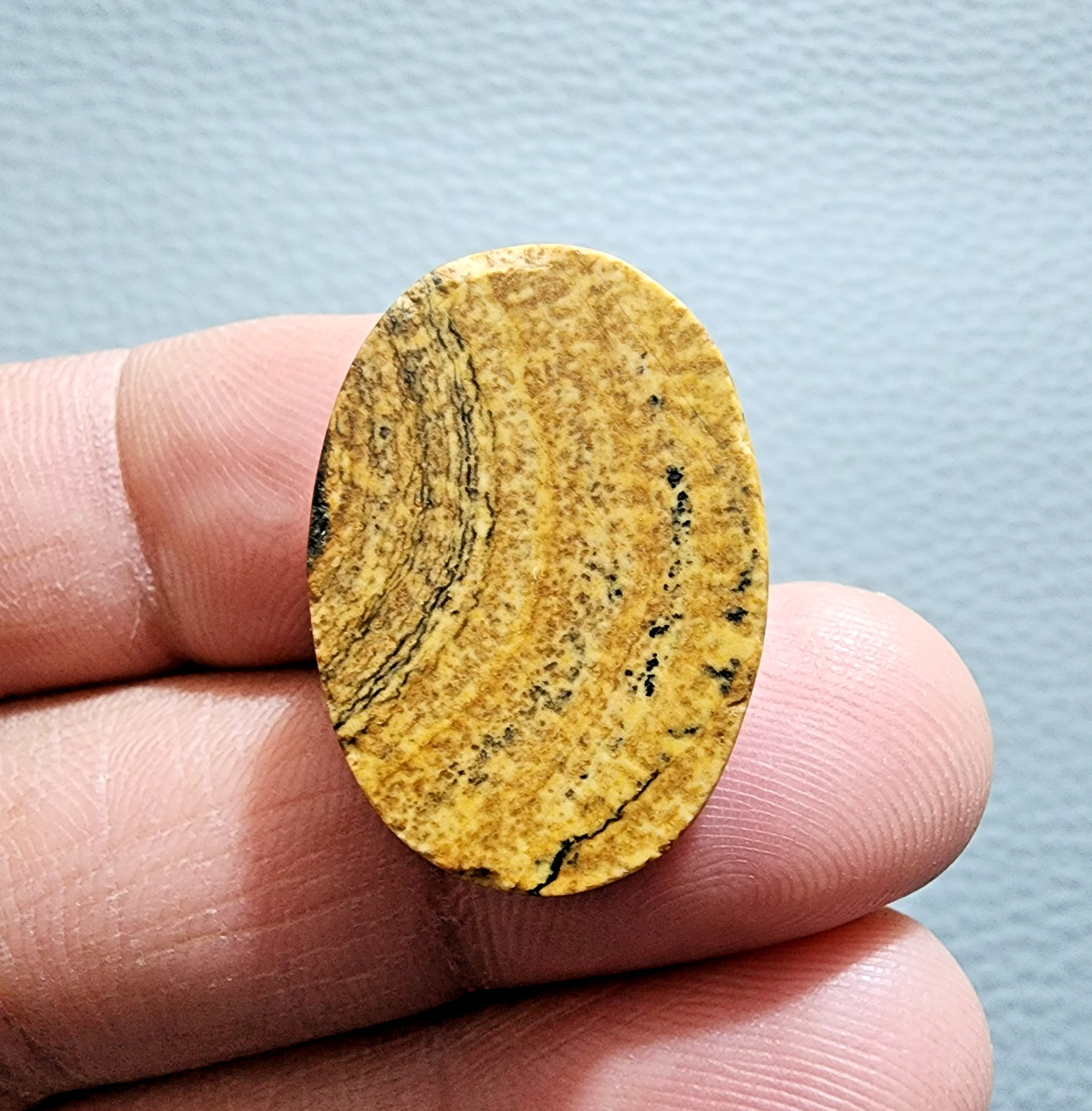 Picture Jasper 20.9ct Oval Cabochon – Unique Natural Gemstone for Jewelry Making