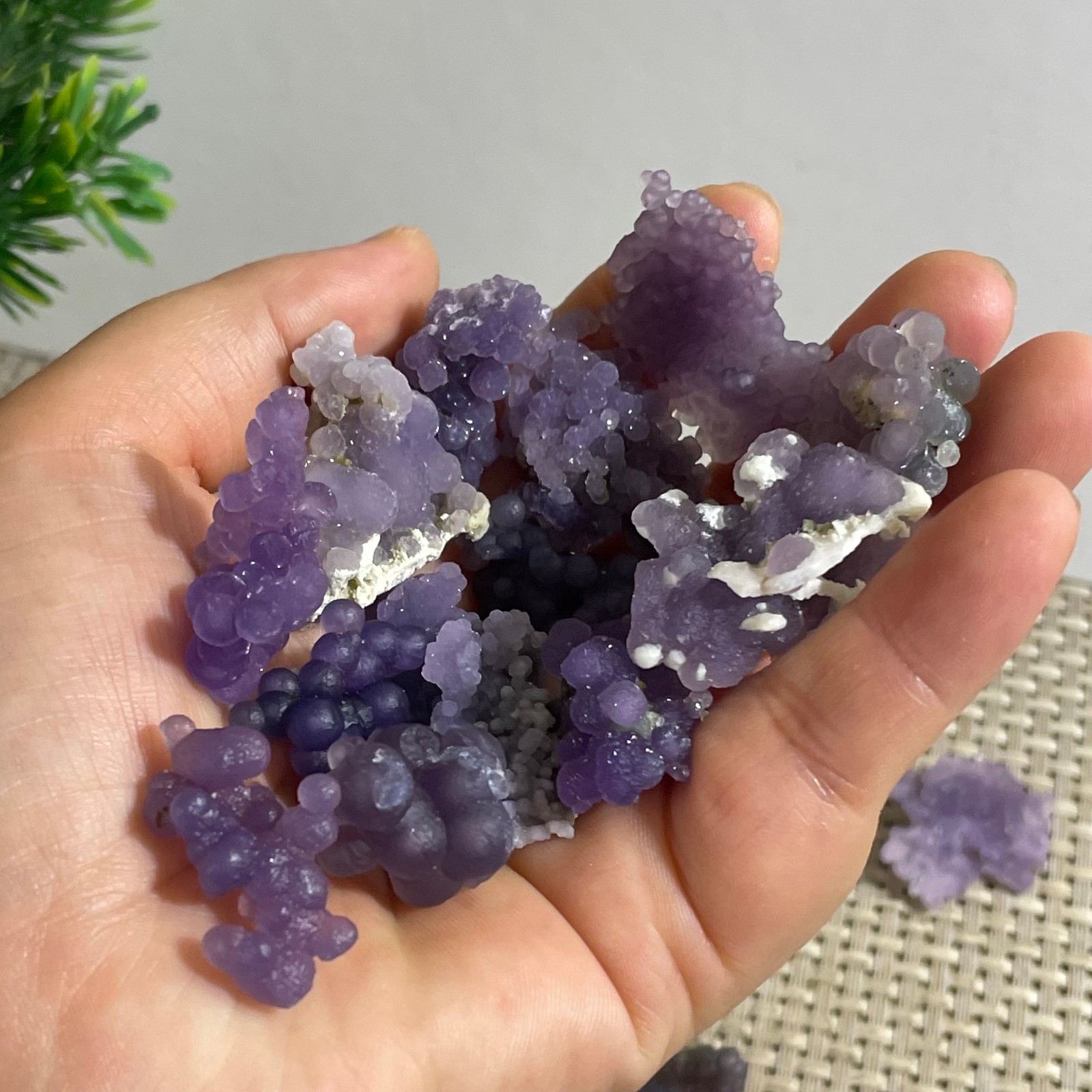 71g Purple stone, grape agate, quartz crystal, granular mineral 12pcs