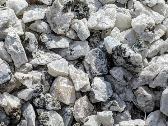 Rainbow Moonstone – Rough Rocks for Tumbling – Bulk Wholesale 1LB options