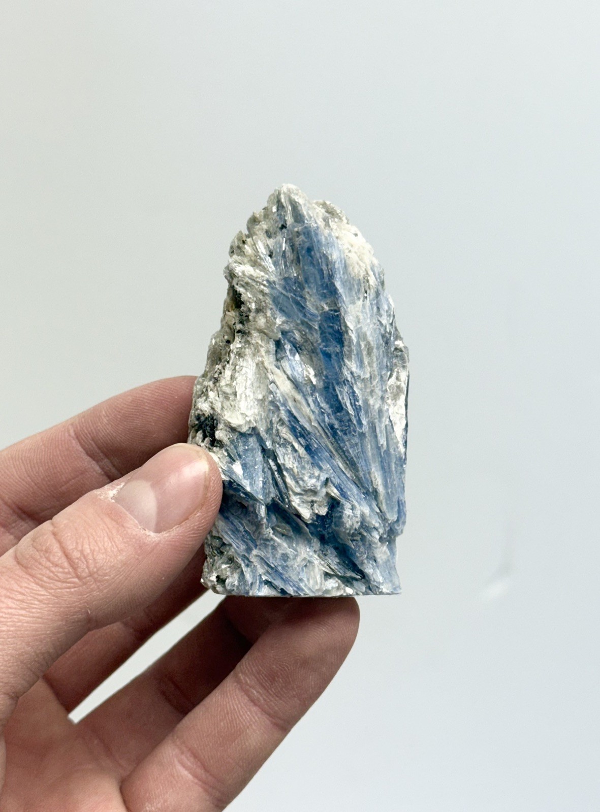 Rough Blue Kyanite w/ Cut Base High Quality Dark Blue