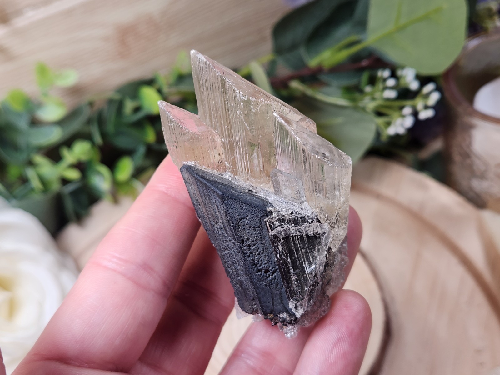High Quality Terminated Naica Selenite Crystal Cluster on Matrix Mexico Z11
