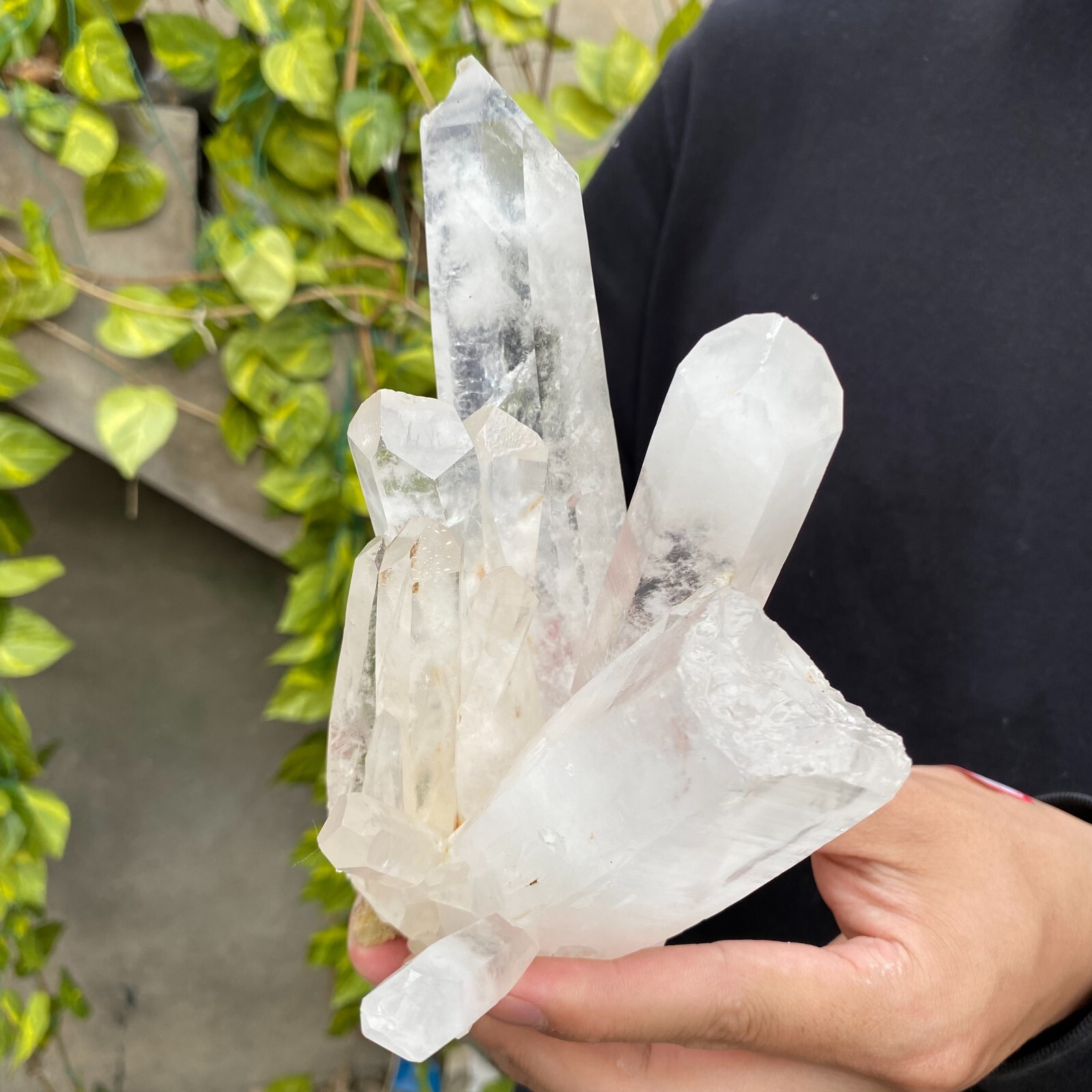 2.3lb Natural Clear White quart Crystal Cluster Raw Healing Specimen