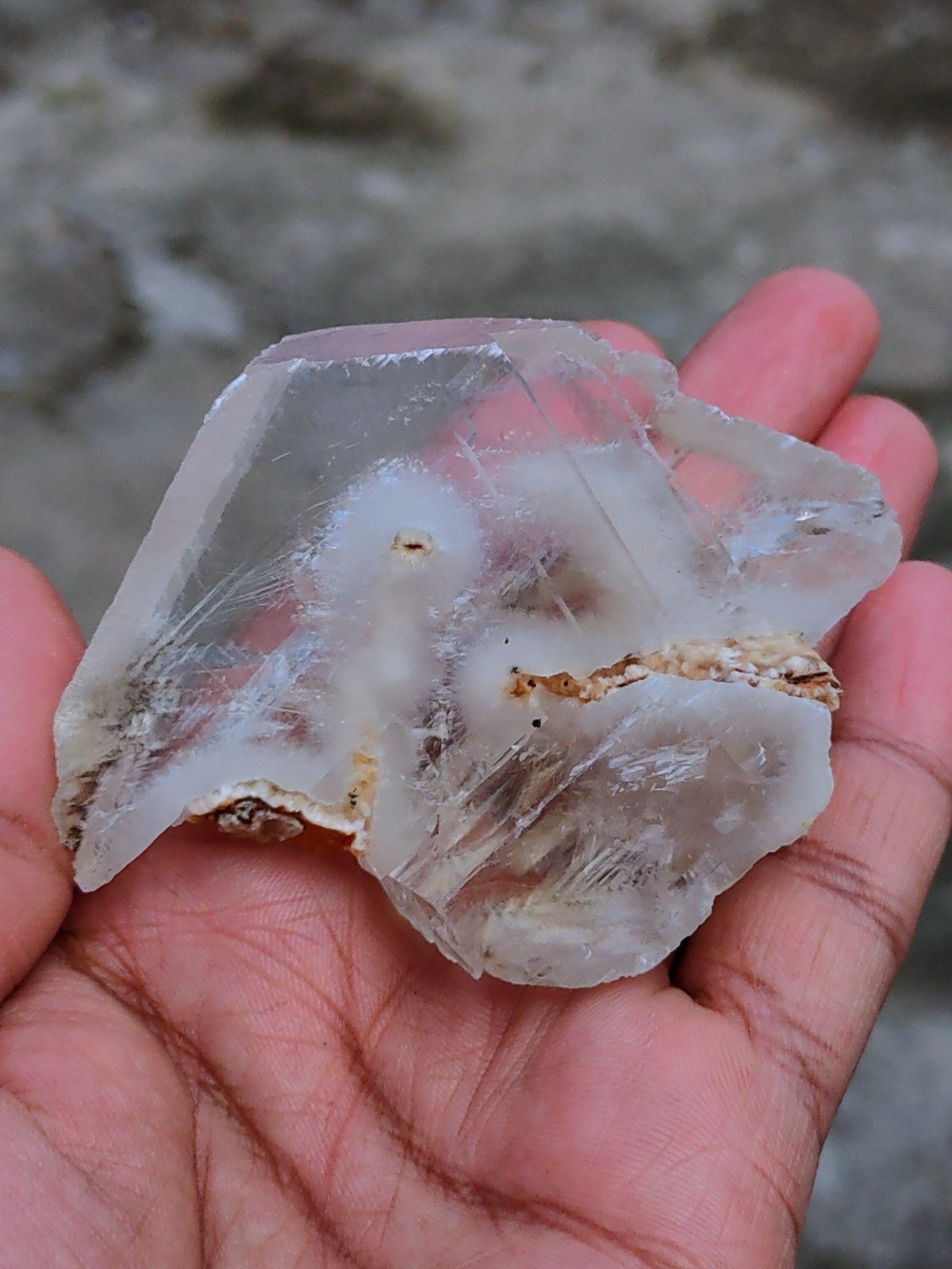 Okenite Tree 🌲 in Calcite. Phantom Calcite, Natural mineral specimen.