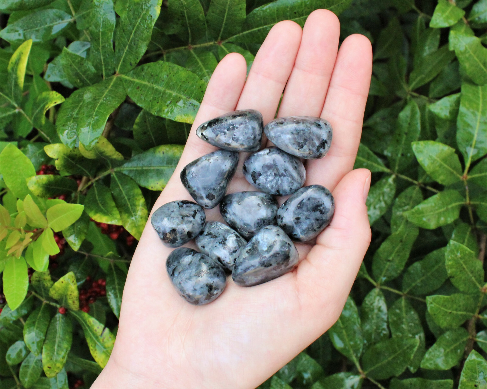 4 oz Larvikite Tumbled Stones: ‘A’ Grade Natural Polished Crystals 1/4 lb Bulk