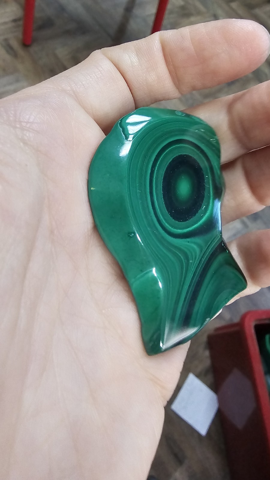 High Quality large Malachite crystal slice slab palm 24g 5.5cm