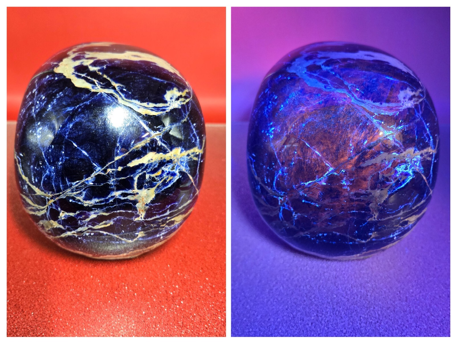 10+LB Natural Very Blue Sodalite Skull Hand Carved Quartz Crystal Reiki Healing