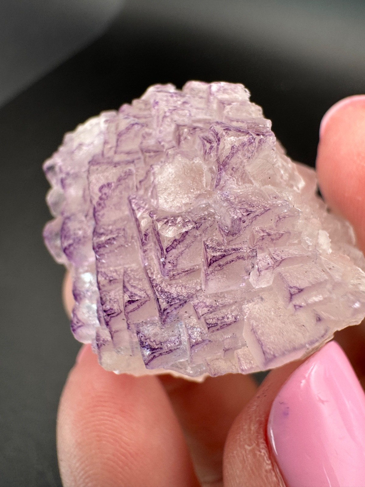6836 NEW Database Fluorite Purple Triangle Yun Nan in Perky Box 34g