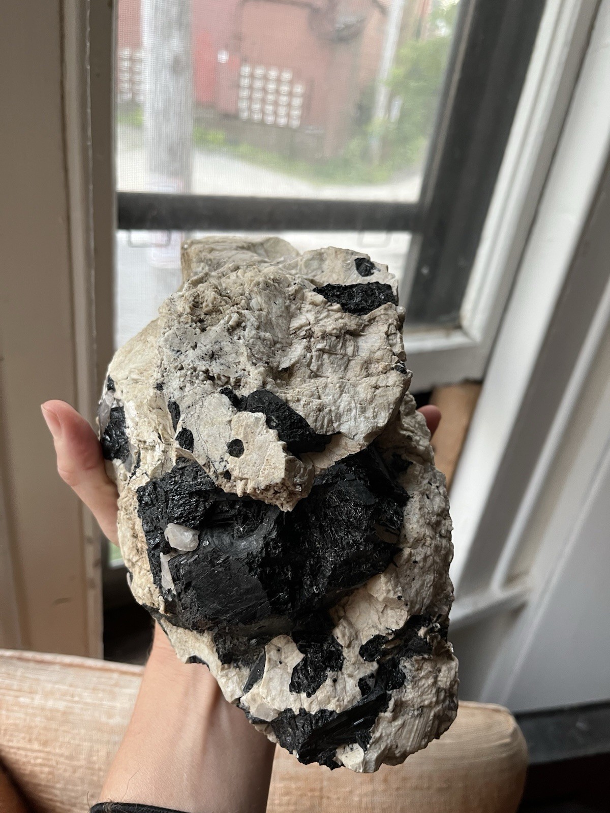 HUGE 6lb 9” Black Tourmaline Schorl Crystals In Matrix Maine USA Locality Quartz