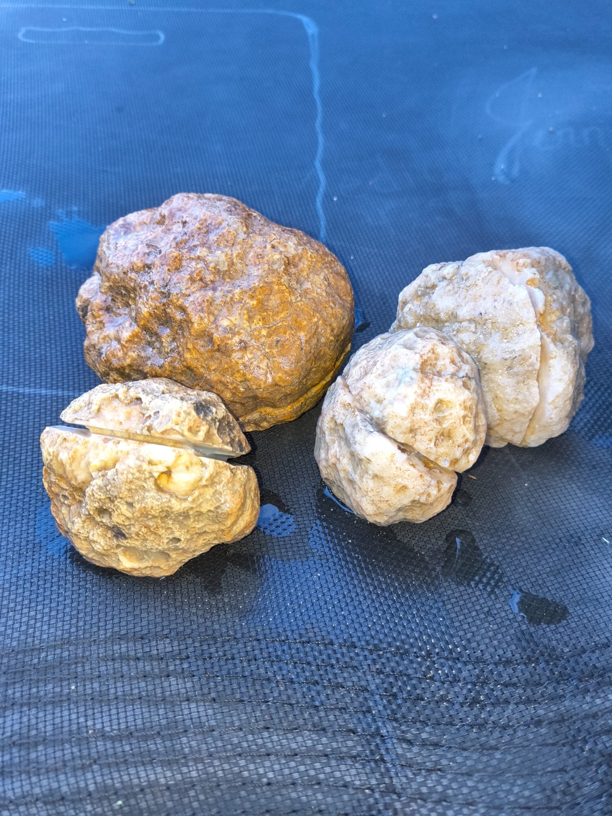 3 LB Kentucky KY Geodes Pre-Scored Crack Your Own Set 4 Piece Lot Hand Collected
