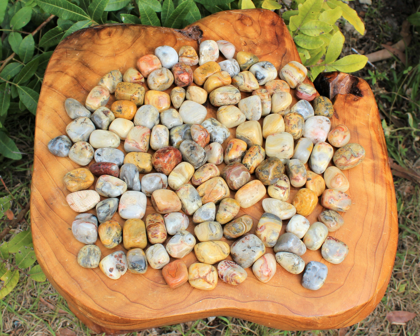 Bulk 1/4 lb lot Crazy Lace Agate Tumbled Stone (Crystal Healing Gemstone) 4 oz