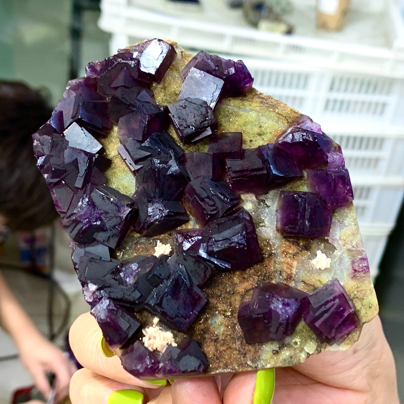 331G Rare Purple cubic fluorite mineral crystal sample/Zhejiang