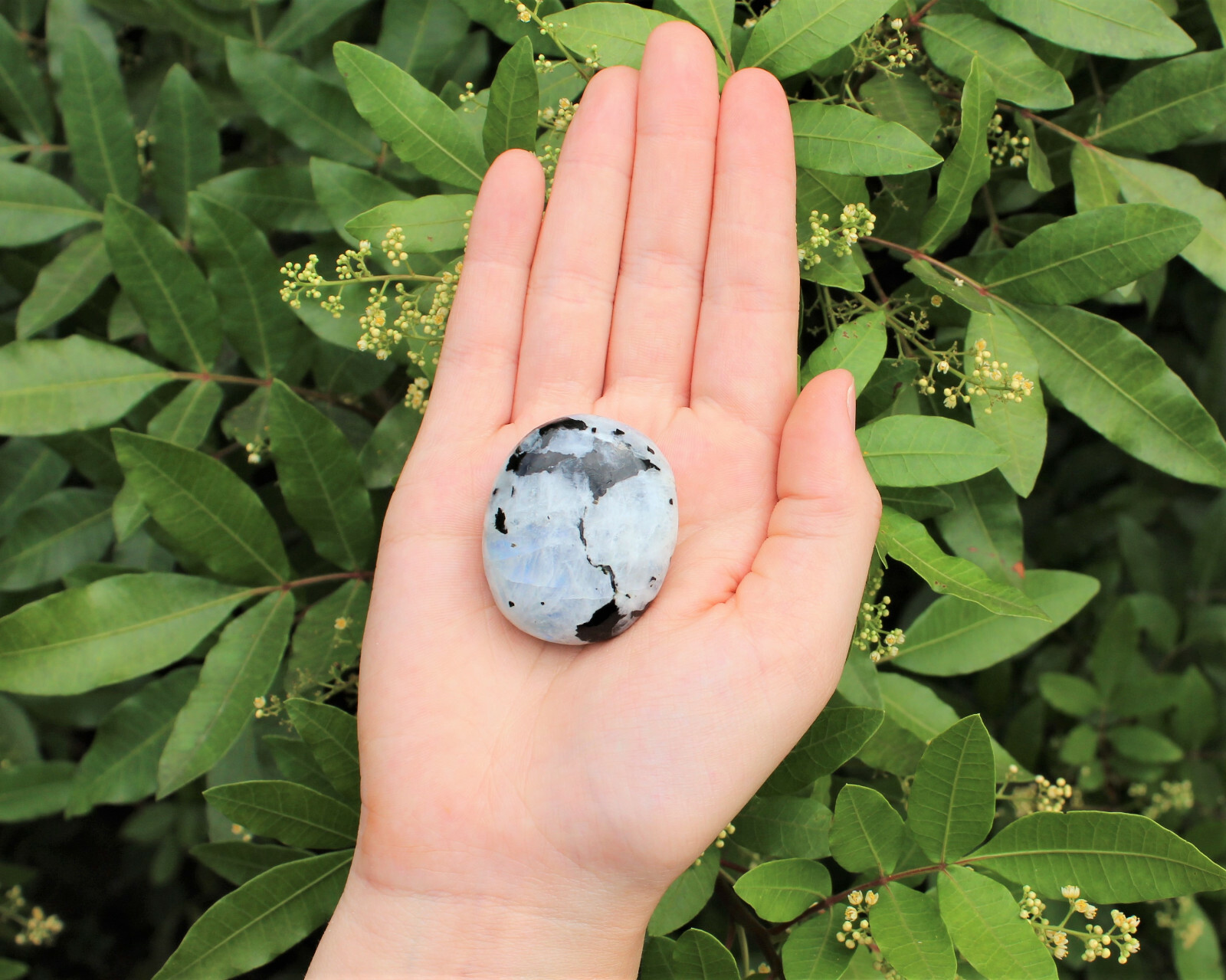 Rainbow Moonstone Palm Stone: Rainbow Moonstone Pebbles, Hand Polished