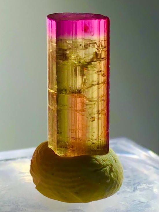 Rarest Translucent Untreated Purple Gold Tourmaline Crystal Raw Natural Specimen