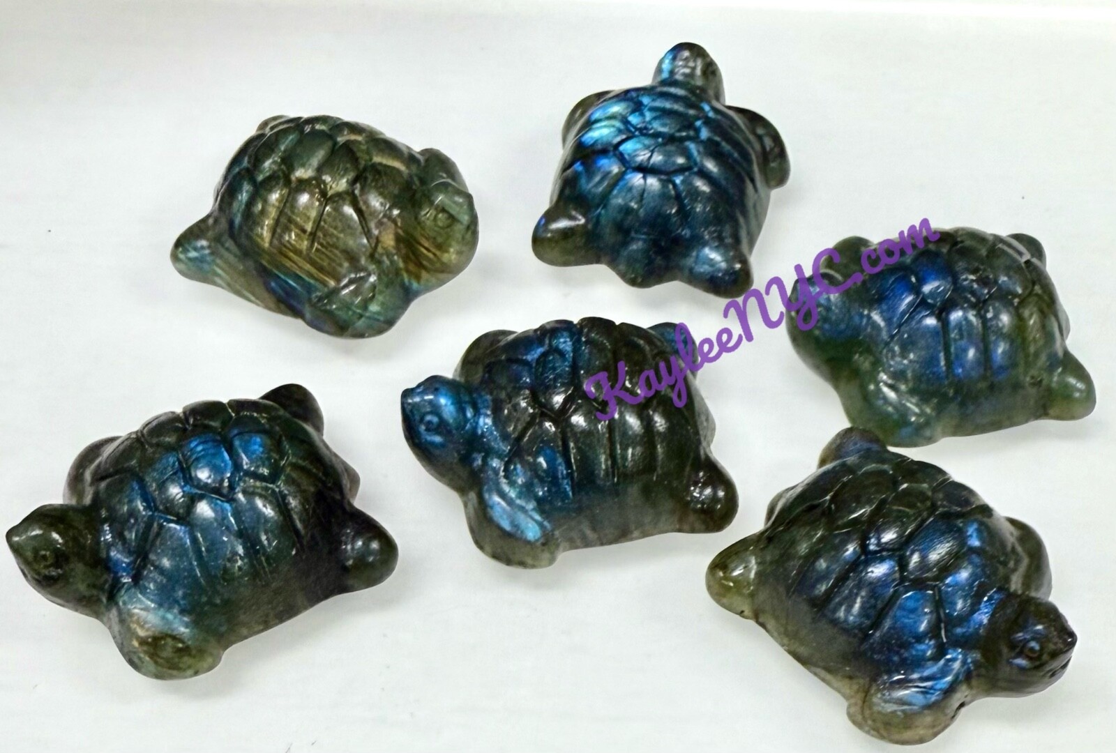 Wholesale Lot 6 Pcs 5cm Natural Labradorite Turtles Healing Energy