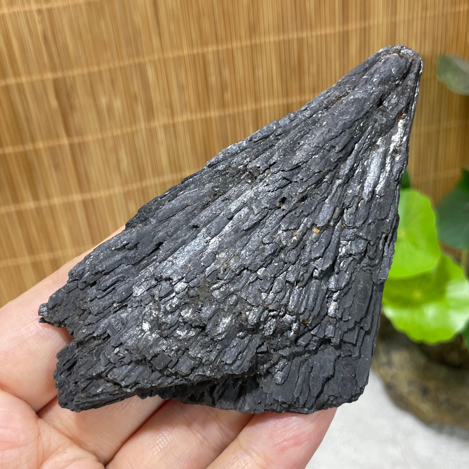 75g Natural Irregular natural black crystal cluster mineral specimen（dian qishi）