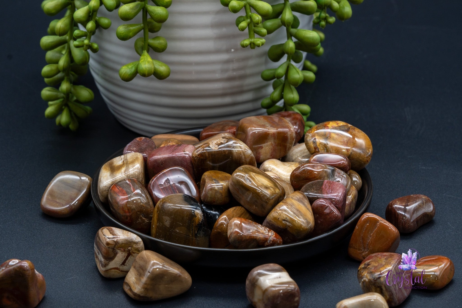 Petrified Wood Tumbles
