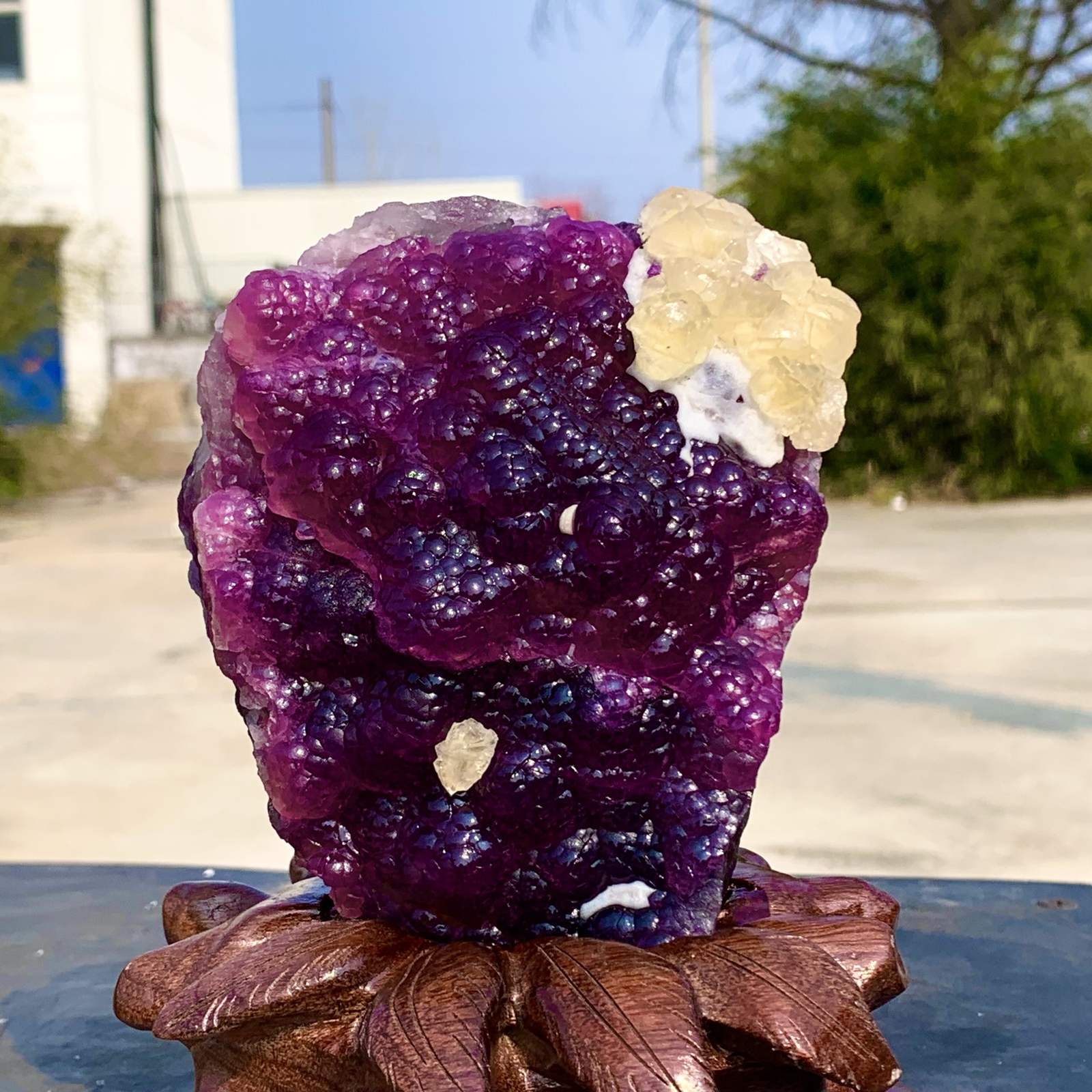 2.40LB Complete rare and gorgeous purple fluorite from Inner Mongolia, China