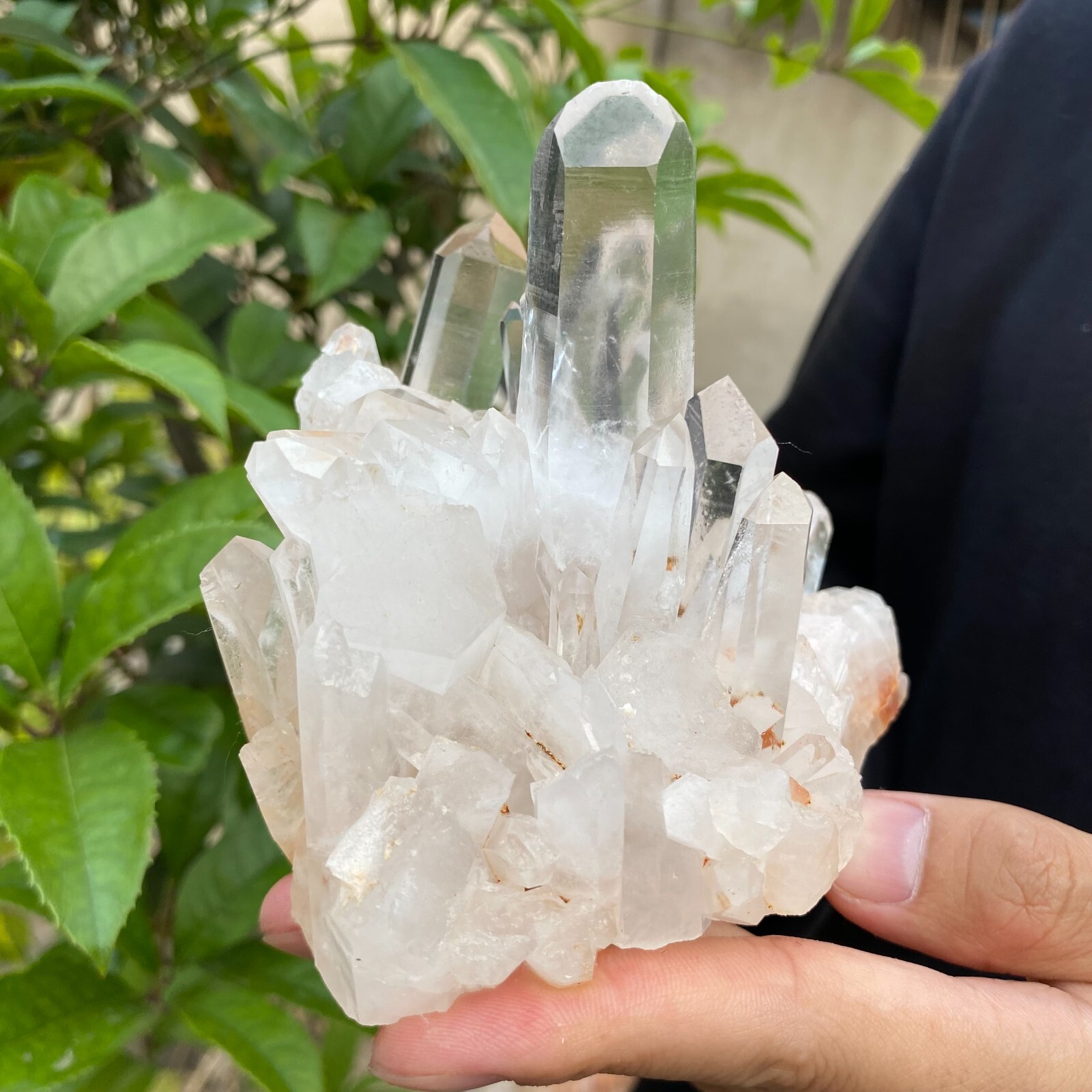 1.6lb Natural Clear White quart Crystal Cluster Raw Healing Specimen