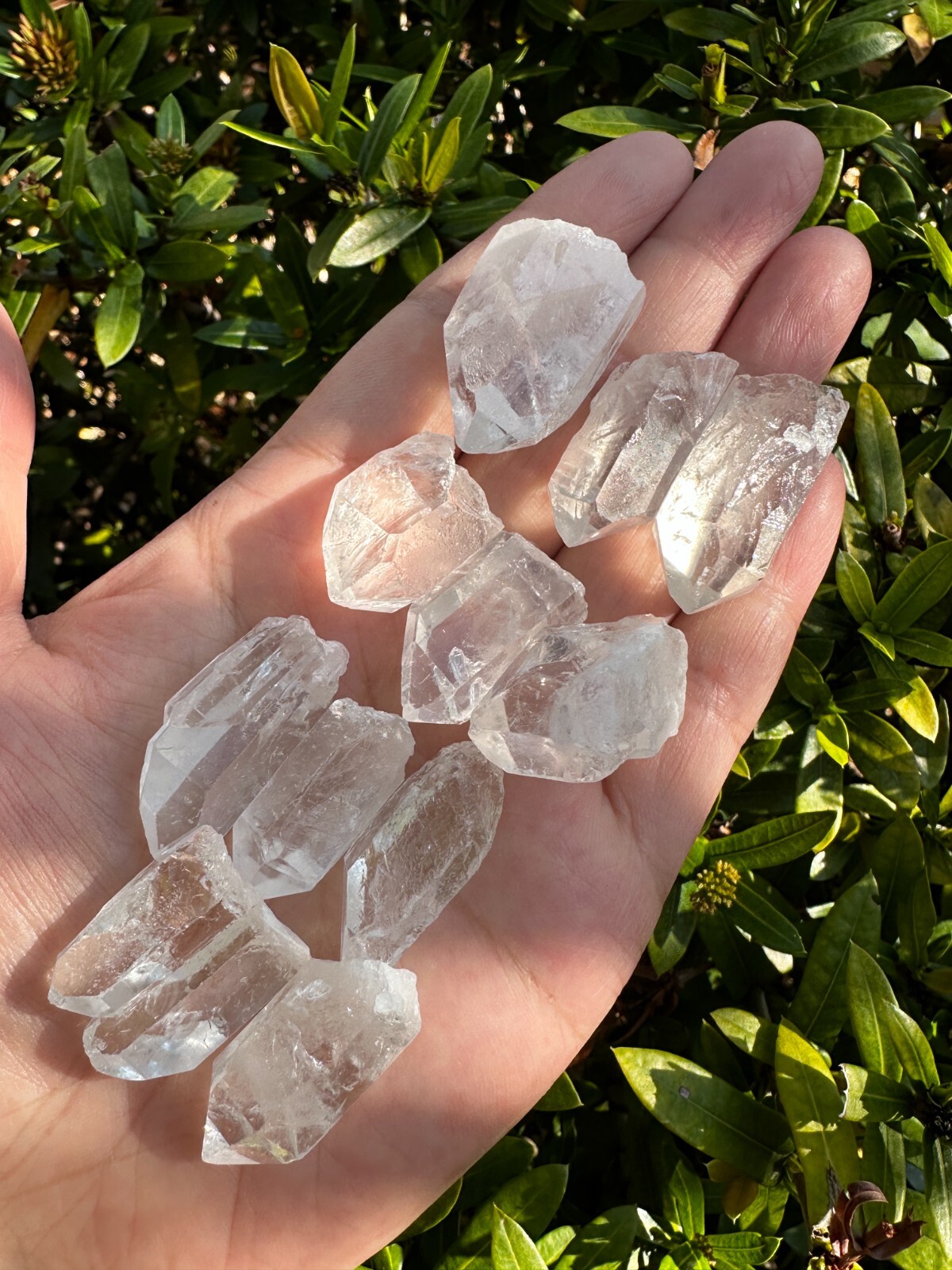 0.75″ – 1.5″ Small Rough Clear Quartz Point, Raw Healing Crystals, Wholesale Lot