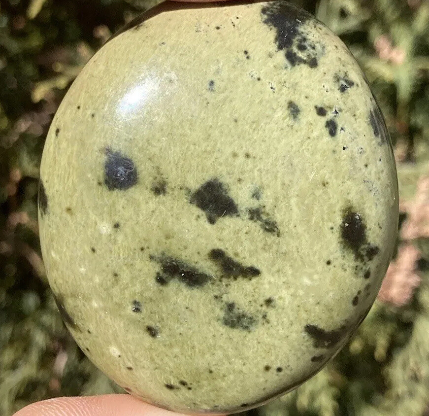 Handmade Polished SERPENTINE Healing Crystal Palm Stone Pebble ZIMBABWE 2.44″