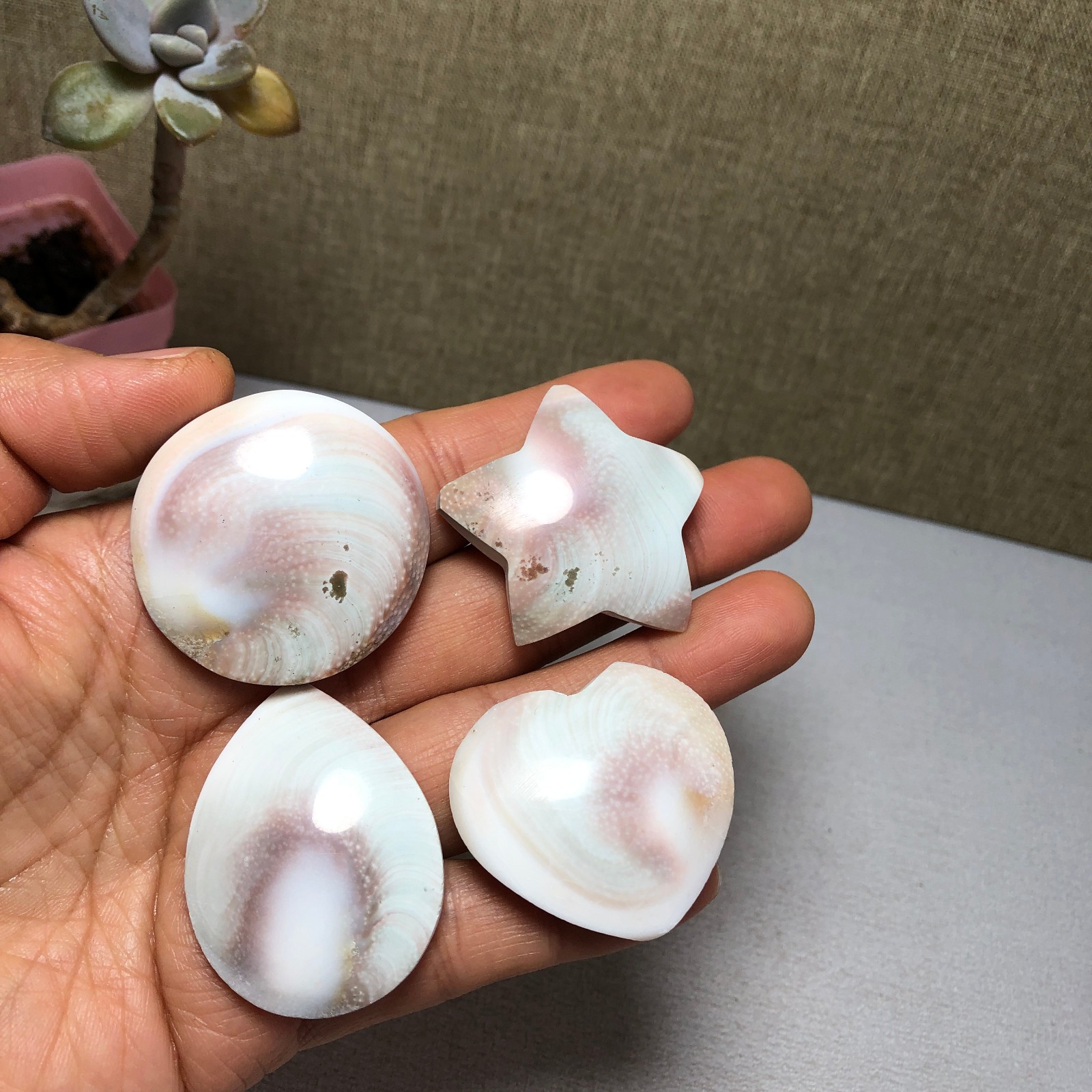 4pcs Rare sun shell Reiki Shiva Eye ocean semi-precious stone 74g A2754