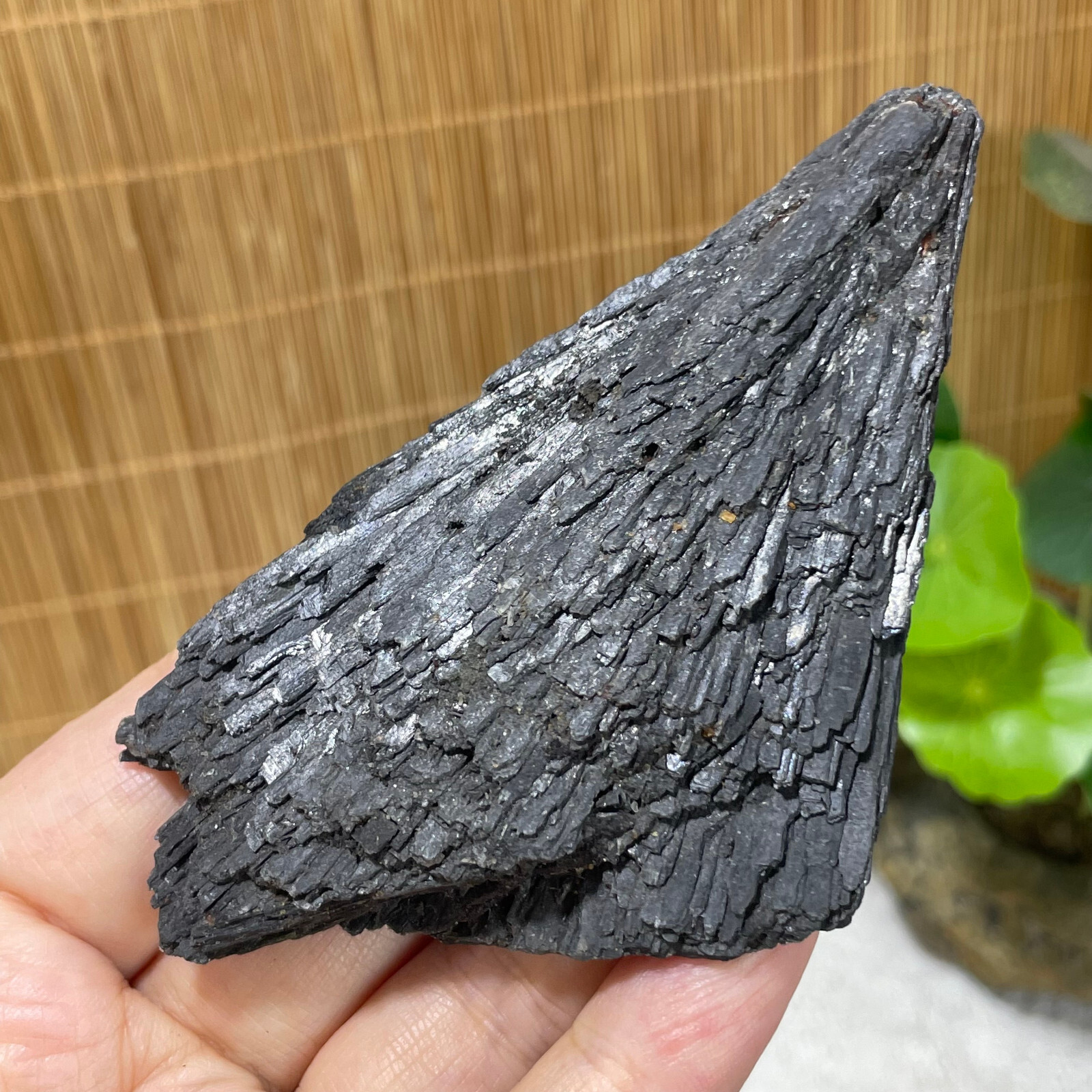 75g Natural Irregular natural black crystal cluster mineral specimen（dian qishi）