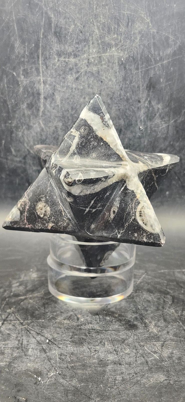 Orthoceras calcite fossil markaba, 10 ounces, 2.2 inches!