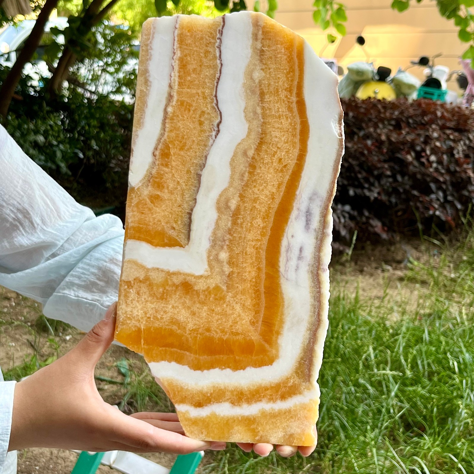 3.3 lb Yellow Calcite Crystal Polished Double Sided Slice Natural Specimen