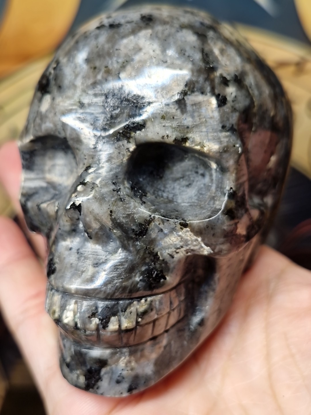 Lush Larvikite Aka Black Lab Crystal Human Skull 95x72mm 618g