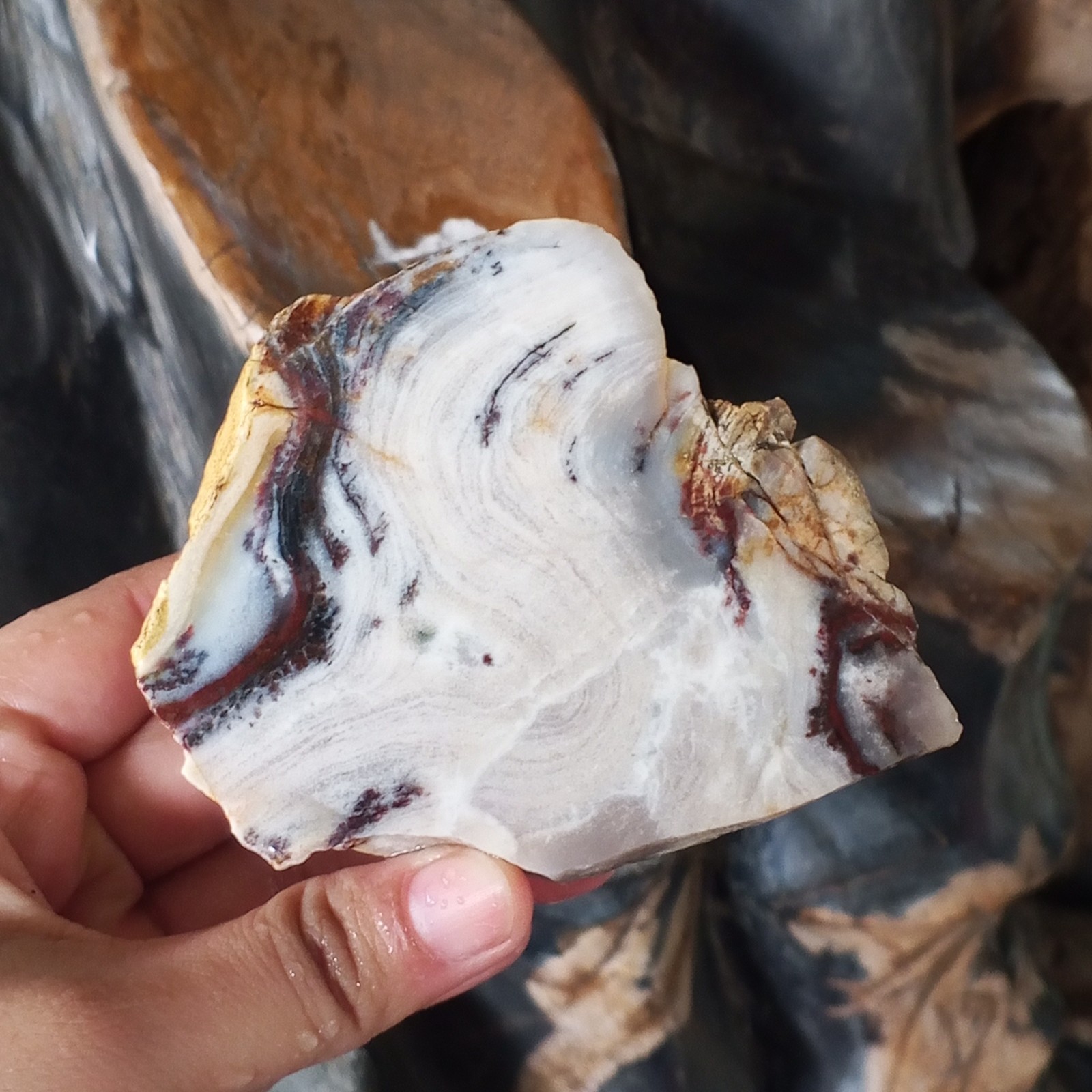 AMAZING RARE !! Slice Natural Japer Chalcedony, Jasper Polished Slab 249gr