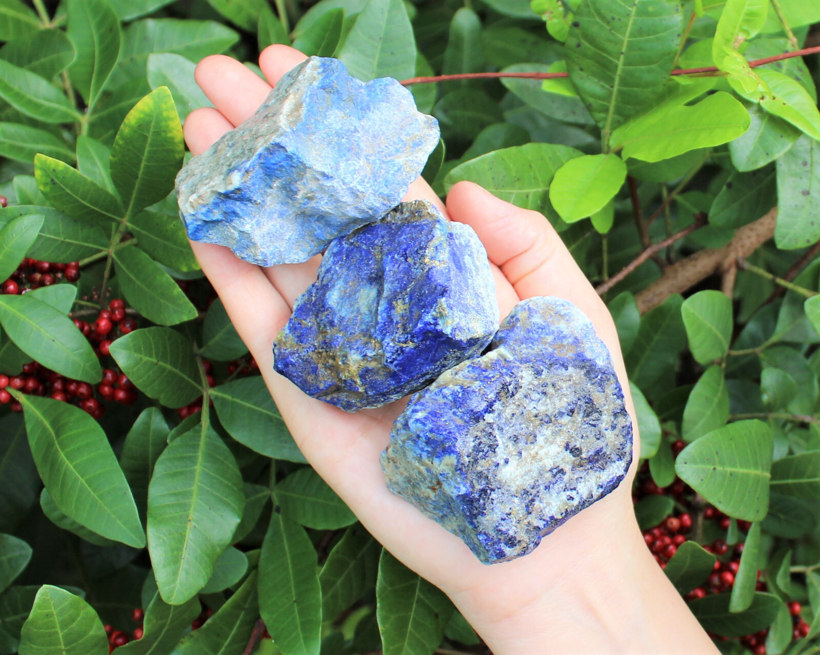 LARGE Rough Lapis Lazuli Chunks, 2″ – 3″ (Blue Raw Crystal Gemstone Specimen)